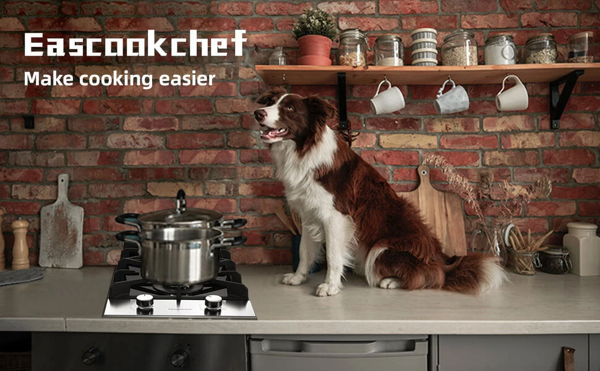 Gas Cooktop 12 inch Eascookchef Bulit-in Gas Stove Top 2 Burners NG/LPG Convertible Dual Burners